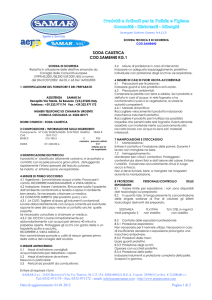 SCHEDA TECNICA E DI SICUREZZA