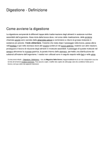 Digestione - Definizione