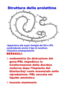 11-Prolattina e Ossitocina