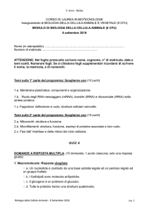 Testo BCAn 6 Settembre 2016