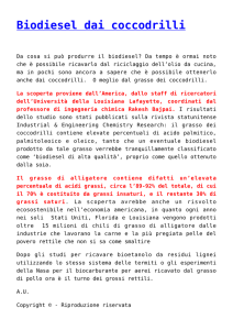 Biodiesel dai coccodrilli
