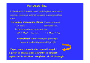 FOTOSINTESI