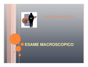 Trezzi R. Campionamento TNM neoplasie del pancreas, 27 aprile