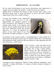 IMPRESSIONI….di CANARIE