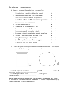 Test d`ingresso (senza valutazione) 1. Segnare se le seguenti