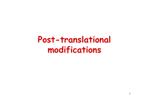 Post-translational modifications