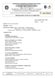 Verbale di riunione - Liceo Cannizzaro Roma