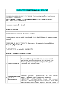 Vetuschi Antonella - Anatomia topografica