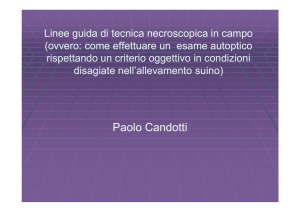 Paolo Candotti - Gruppo Veterinario Suinicolo Mantovano