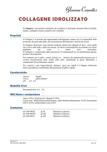 collagene idrolizzato