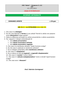 - Prof. FABRIZIO CARMIGNANI Scienze Naturali IISS