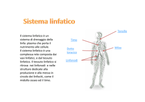 Presentazione linfatico GRUPPO ROVARIS