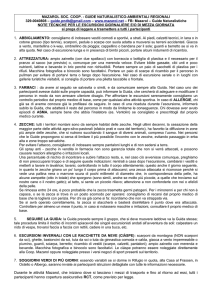 Cliccando qui potete scaricare breve "decalogo" di note tecniche