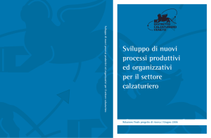 Sviluppo di nuovi processi produttivi ed organizzativi per il settore