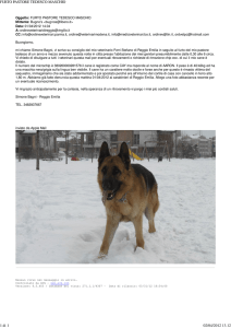 furto pastore tedesco maschio - Ordine dei Medici Veterinari della