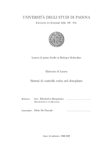 Documento PDF