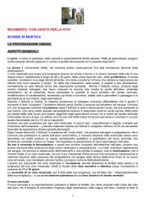 movimento con cristo per la vita schio