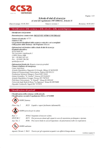 Scheda di dati di sicurezza