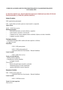 Corso fisioterapisti cervicale