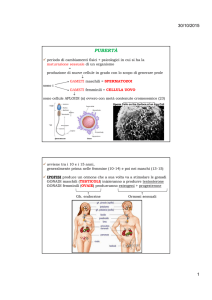 APPARATO RIPRODUTTORE2 [Compatibility Mode]