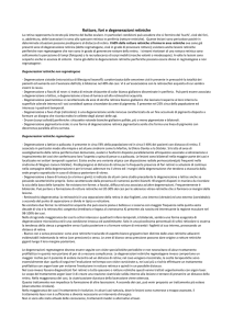 Rotture, fori e degenerazioni retiniche