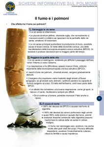 schede informative sul polmone