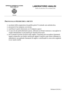 Protocollo ricerca miceti