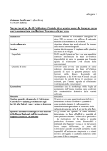 basilico - Regione Toscana