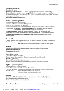 Ghiandole endocrine