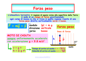 Forza peso - Ivano Coccorullo