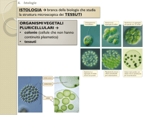 Istologia