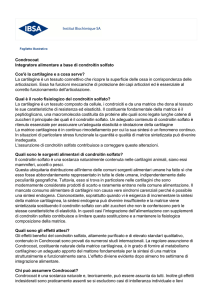 Condrocoat Integratore alimentare a base di condroitin solfato Cos`è