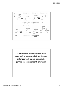Le reazioni di transaminazione sono reversibili e possono quindi