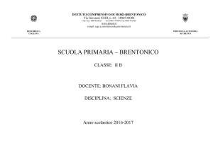 SCUOLA PRIMARIA – BRENTONICO