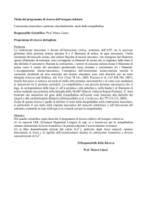 Titolo del programma di ricerca dell`assegno richiesto