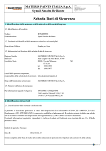 Scheda Sicurezza - Baldini Vernici