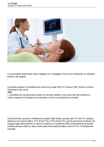La Tiroide