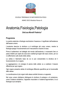 Anatomia,Fisiologia,Patologia