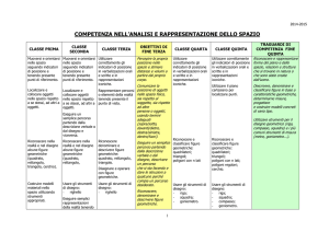 competenza nell`analisi e rappresentazione dello spazio