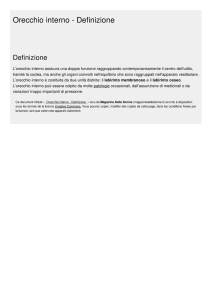 Orecchio interno - Definizione