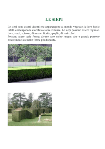 le siepi - ic pertini 2