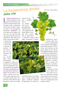Settembre - Vivaio del Lago Varese