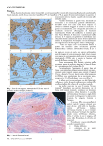 CICLONI TROPICALI 1 Premesse Prima di poter discutere dei