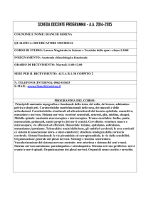 Anatomia chinesiologica funzionale