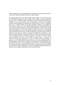14 Studi di patogenesi e ruolo dell`Interferone nell`infezione causata