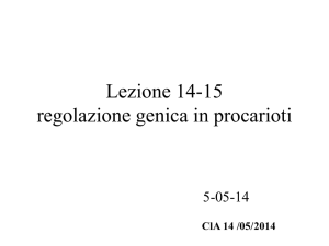 genetica batterica prof Tripodi File - e