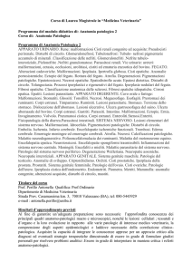 Anatomia patologica 2