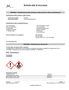 Scheda dati di sicurezza - Thermo Fisher Scientific