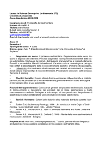 Ronca Petrografia del sedimentario
