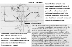 Diapositiva 1